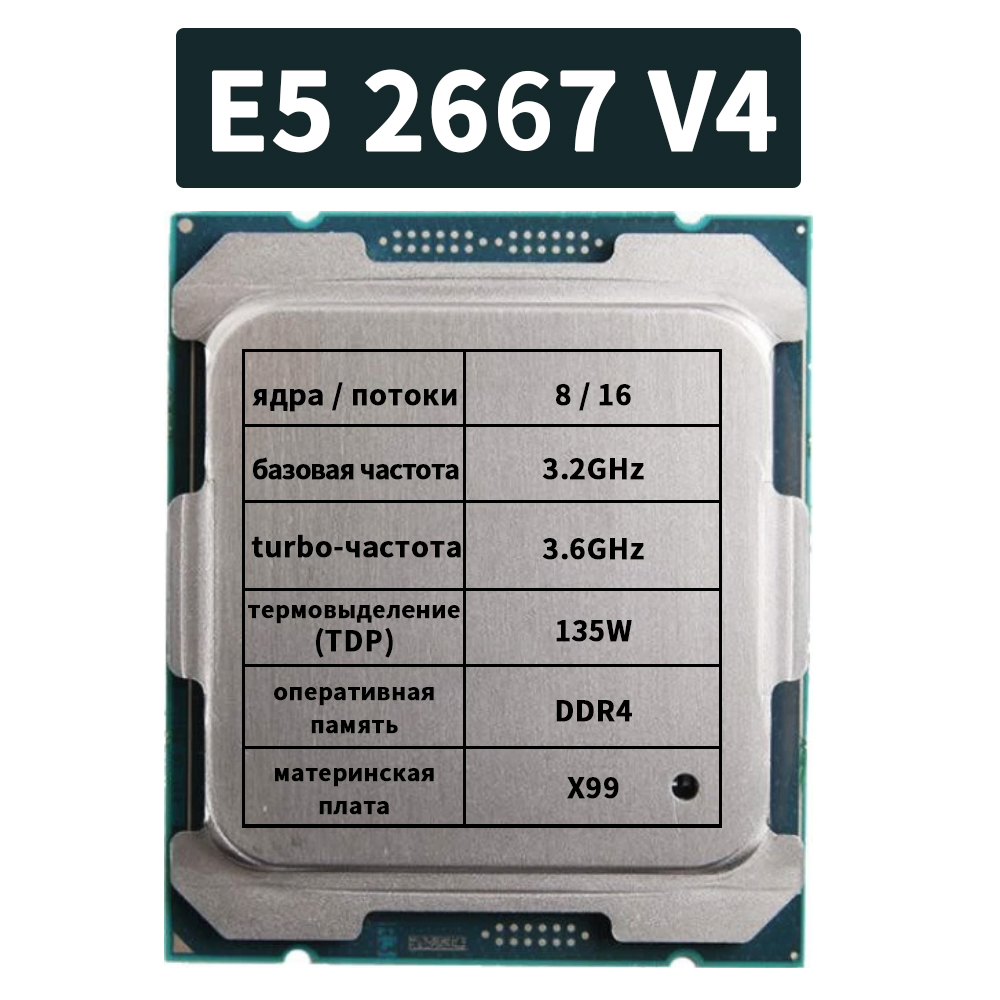 Kit de placa base XSJnewwold D - Pc Gaming Xeon reseña y precio